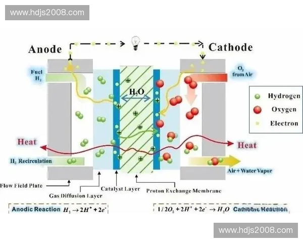 以氧气代谢为核心解析生命能量转换与健康调控机制整体网络及疾病发生发展规律